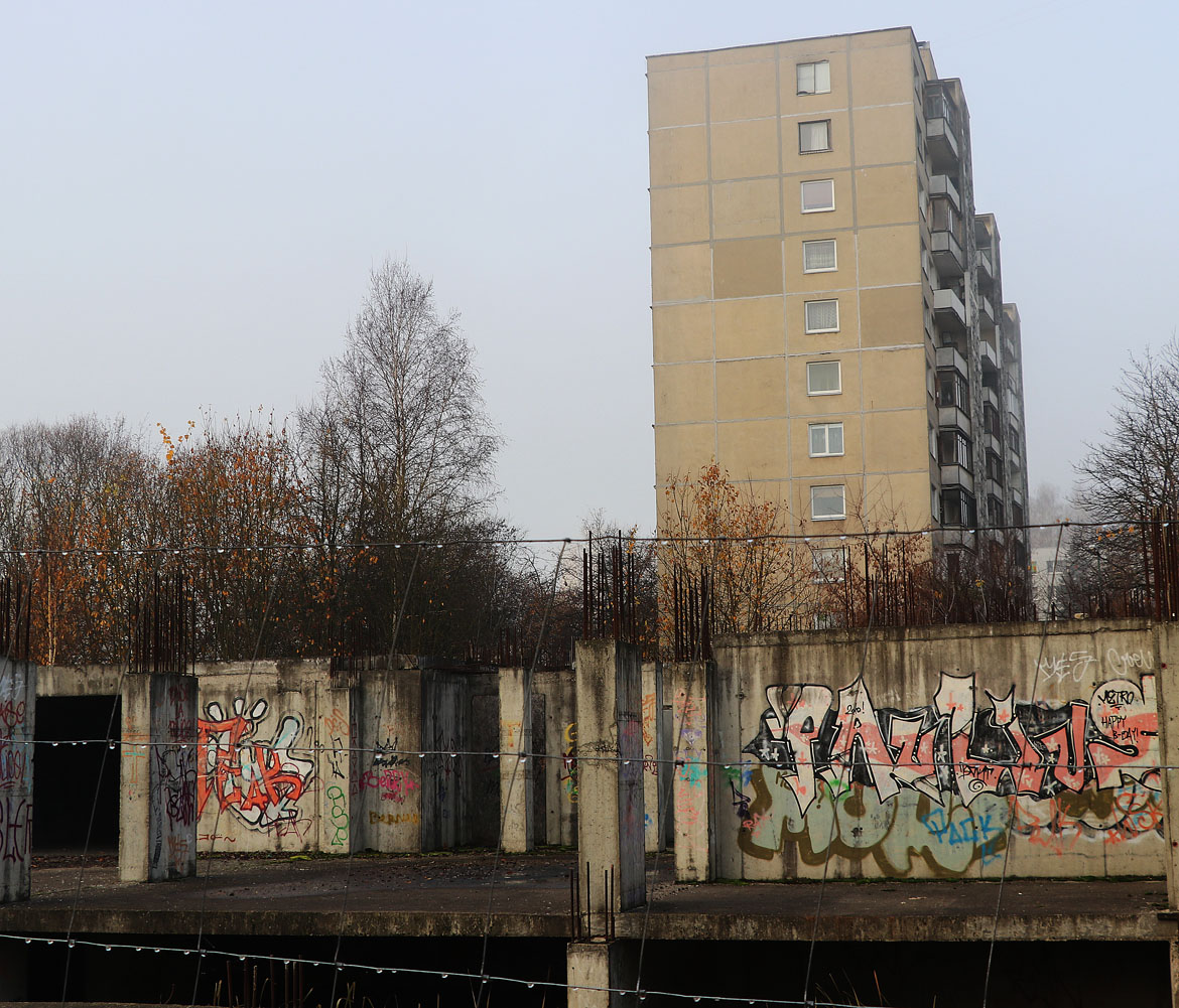 IMG 8805