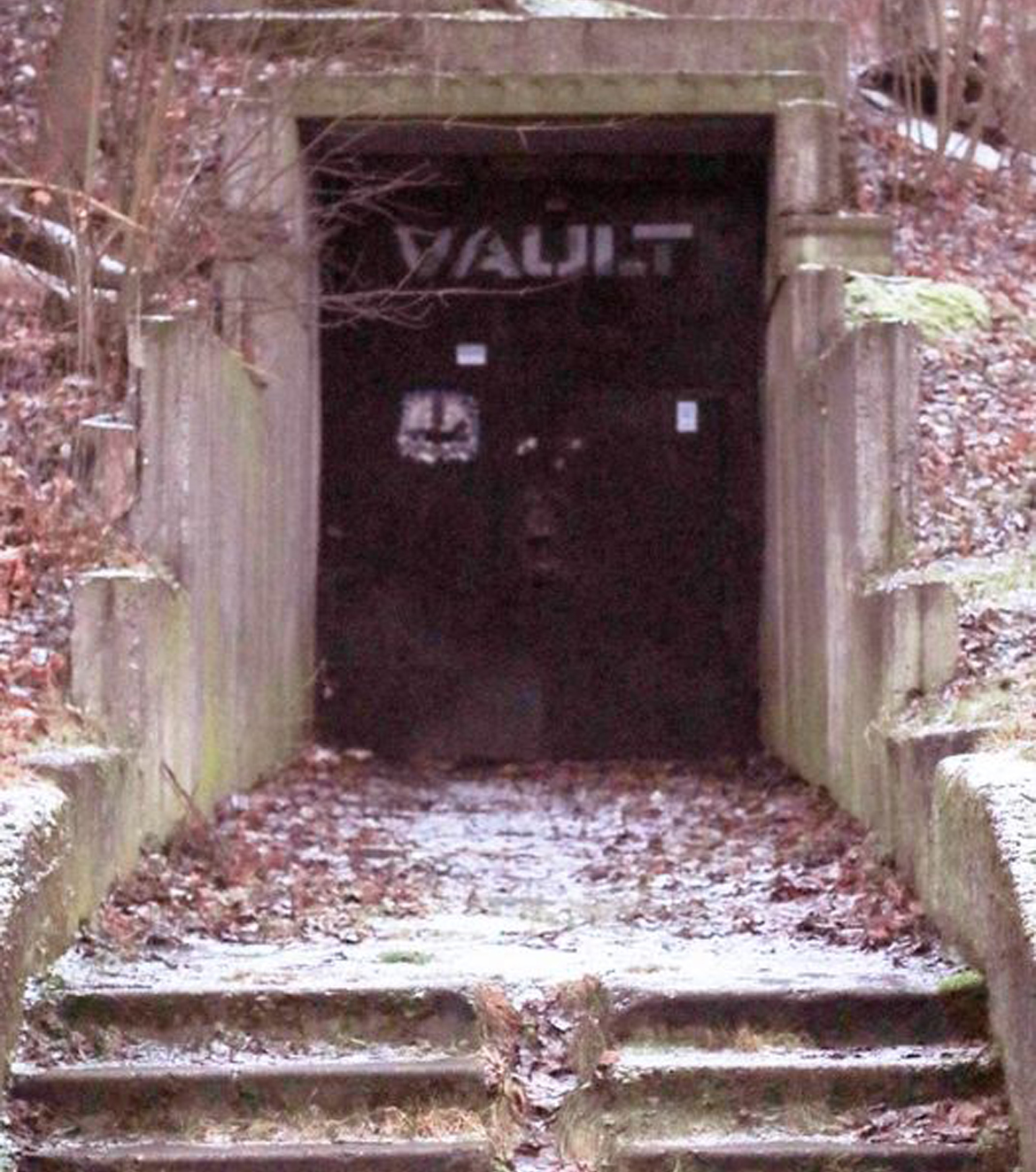 vault2